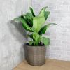 10.2" Self-watering Wicker Decor Planter for Indoor and Outdoor - Round - Grey