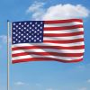 US Flag and Pole Aluminum 19.7'