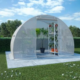 Greenhouse 48.4 ft² 118.1"x59.1"x78.7" (Color: As Picture)